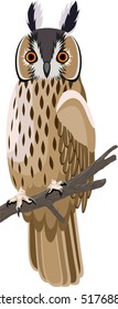 vector long-eared owl