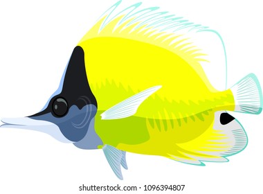 vector longnose butterflyfish