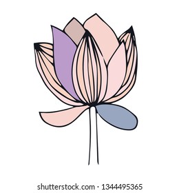 vector lotos decor