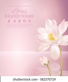 Vector lotus banner on pink smooth background with reflection. Design for natural cosmetics, health care products. With place for text and your product image. Font names included in the layers