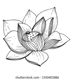 Vector Lotus floral botanical flower. Wild spring leaf wildflower isolated. Black and white engraved ink art. Isolated lotus illustration element.