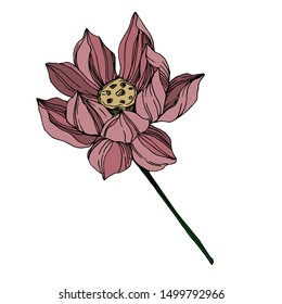 Vector Lotus floral botanical flowers. Wild spring leaf wildflower isolated. Black and white engraved ink art. Isolated lotus illustration element on white background.