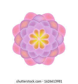Vector of lotus floser,mandala.Colorful isolated element on white background
