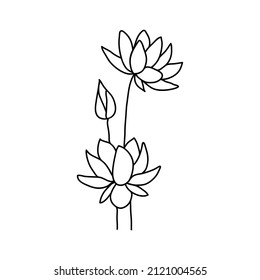 Vector lotus flower in doodle style. Drawn with an outline on a white background