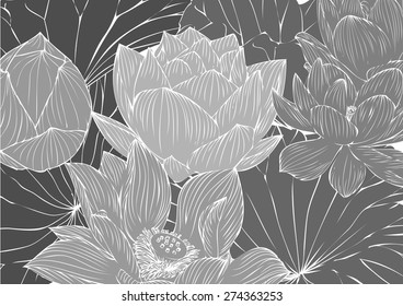 Vector lotus flower drawings for the background graphics