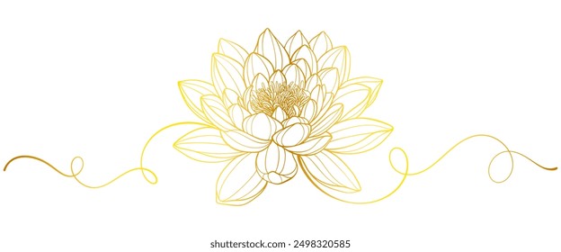 Vector lotus flower gold background, luxury floral art. Vintage line ornament, beauty nature illustration