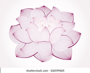 Vector lotus flower isolated on white, line drawing