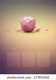vector lotus flower in a soft background