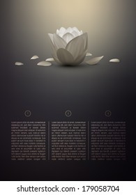 vector lotus flower in a soft background 