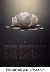 vector lotus flower in a soft background 