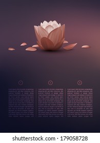 vector lotus flower in a soft background 
