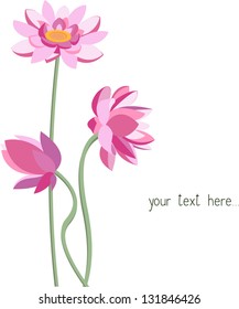 Vector lotus flowers.