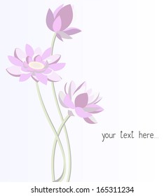 Vector lotus flowers.