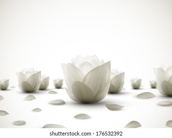 vector lotus flowers