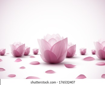 vector lotus flowers