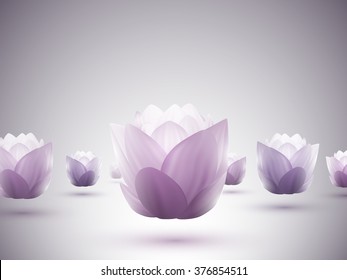 vector lotus flowers