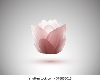 vector lotus flowers