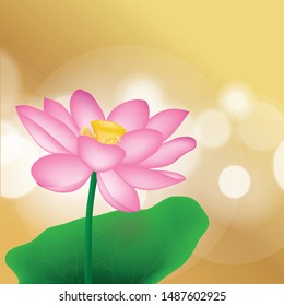 Vector lotus flowers isolated on gold background illustration, yoga, health care