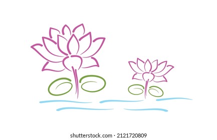 Vector of Lotus Flowers and Leaves Isolated on White Background. Editable Illustration of Lotus Plant in Water. Sketch of Lotus.