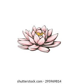 Vector lotus flowers on white background.