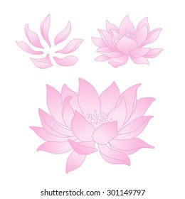 Vector lotus flowers and petals