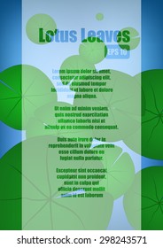 Vector : Lotus leaves background and space for text