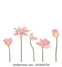 Vector lotus on white isolated background, Asian flower, isolated pink water lily in Cartoon style for prints, patterns, stickers, tattoo, icons for social networks or apps.