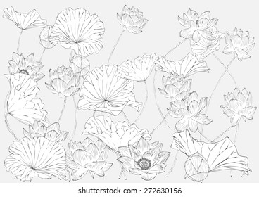 Vector lotus paintings graphics backgrounds and text