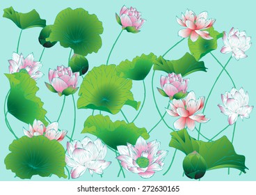 Vector lotus paintings graphics backgrounds and text