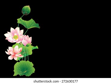 Vector lotus paintings graphics backgrounds and text