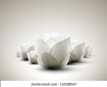 vector lotus petals