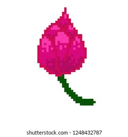 vector of  lotus  in pixel style
