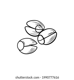 Vector lotus seeds outline illustration isolated on white background, black lines.