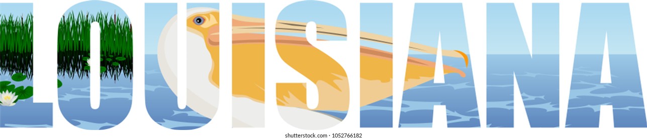 vector Louisiana - American state word with pelican and sea coast