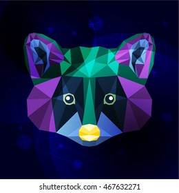 Vector low poly abstract portrait of a motley raccoon. Symmetrical portraits of animals. Vector Illustration, card, poster. Icon. Animal face. Image of a raccoon's face. Low-poly colorful style.