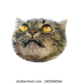 Vector low poly animal art. Polygonal portrait of funny looking up cat isolated on the white background.