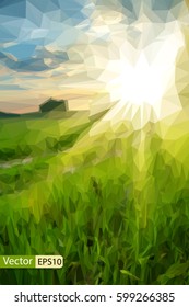 Vector low poly beautiful sunrise or sunset sky and green grass field