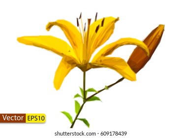 Vector low poly eps 10 modern triangular illustration beautiful lilly floral design element on white background