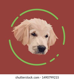 Vector low poly of a golden retriever puppy, seen from the front left with brown background with green circle stroke decoration