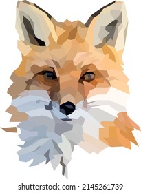Vector low poly illustration of a fox head