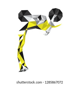 Vector low poly illustration for moto freestyle and races. Racer lifted a motorcycle. Illustration can be used in the newsletter, brochures, postcards, tickets, advertisements, banners. Yellow