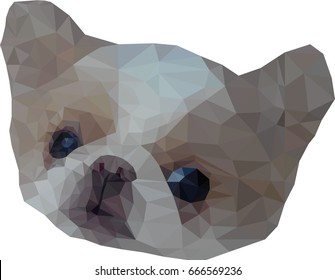 Vector low poly of Japanese emperor chin dog