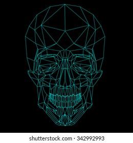 vector low poly  line neon blue skull on black  background