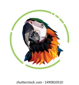 Vector low poly of a macaw bird face, seen from below with white background and green circle stroke decoration.