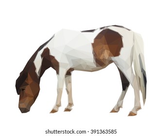 Vector low poly shetland pony