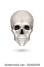 vector low poly  skull on white  background