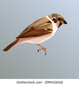 Vector low poly sparrow on blue-green background.