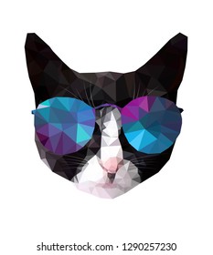 Vector low poly style cat face in colored glasses. Polygonal black and white Geometric  cat. Print for t shirt,glasses,modern,