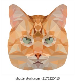 Vector low poly style red cat. Cat icon. Geometric design illustration.Triangle vector ginger cat illustration 