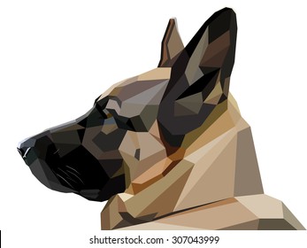 vector low poly style  shepherd snout realistic